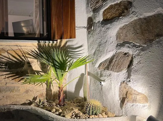 Nature Friendly Dame Mési